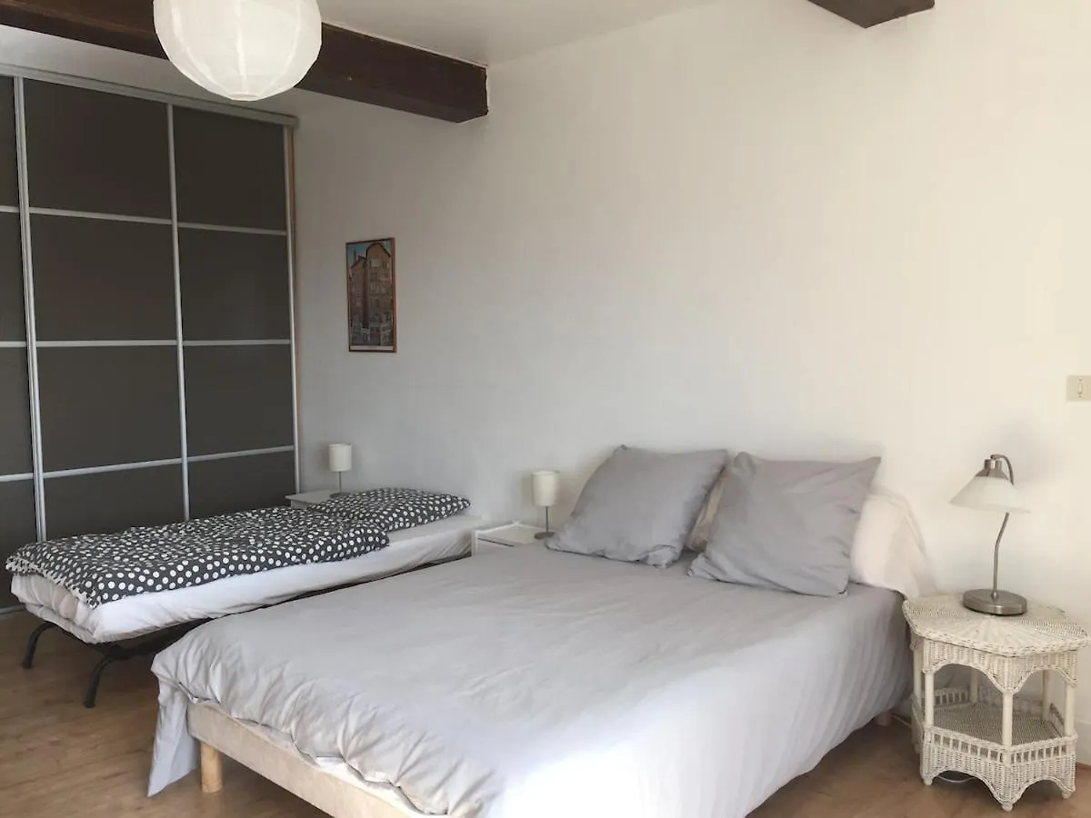 Ancienne Ferme 16P Proche A46 Villa Reyrieux France
